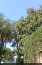Delhi Bunglows : Image 6