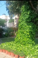 Delhi Bunglows : Image 4