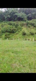 Agricultural Land with small farm house built &electricity and water equipped : Image 3