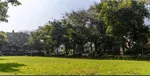 Clear Title | NDMC Approved | RERA & Registry Approved
Status No NCLT Dues | No Litigation or Dispute : Image 6