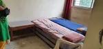 1 Rk Flat For Rent In College Road Nashik : Image 1