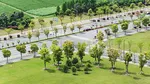 Premium Plots at ATS Homekraft Province D Olympia, Sector 22D Yamuna Expressway : Image 8