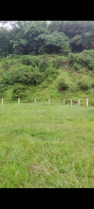 Agricultural Land with small farm house built &electricity and water equipped : Image 3
