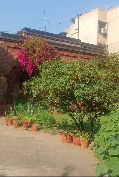 Delhi Bunglows : Image